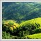 ADVENTURE TO NORTHERN VIETNAM 7 DAYS 6 NIGHTS from  353 USD/person only