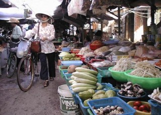 VIETNAM CULINARY DISCOVERY TOUR 11 DAYS 10 NIGHTS from 678 USD/person only
