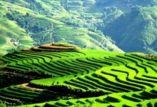 HANOI - SAPA - HANOI 2 DAYS 1 NIGHT 